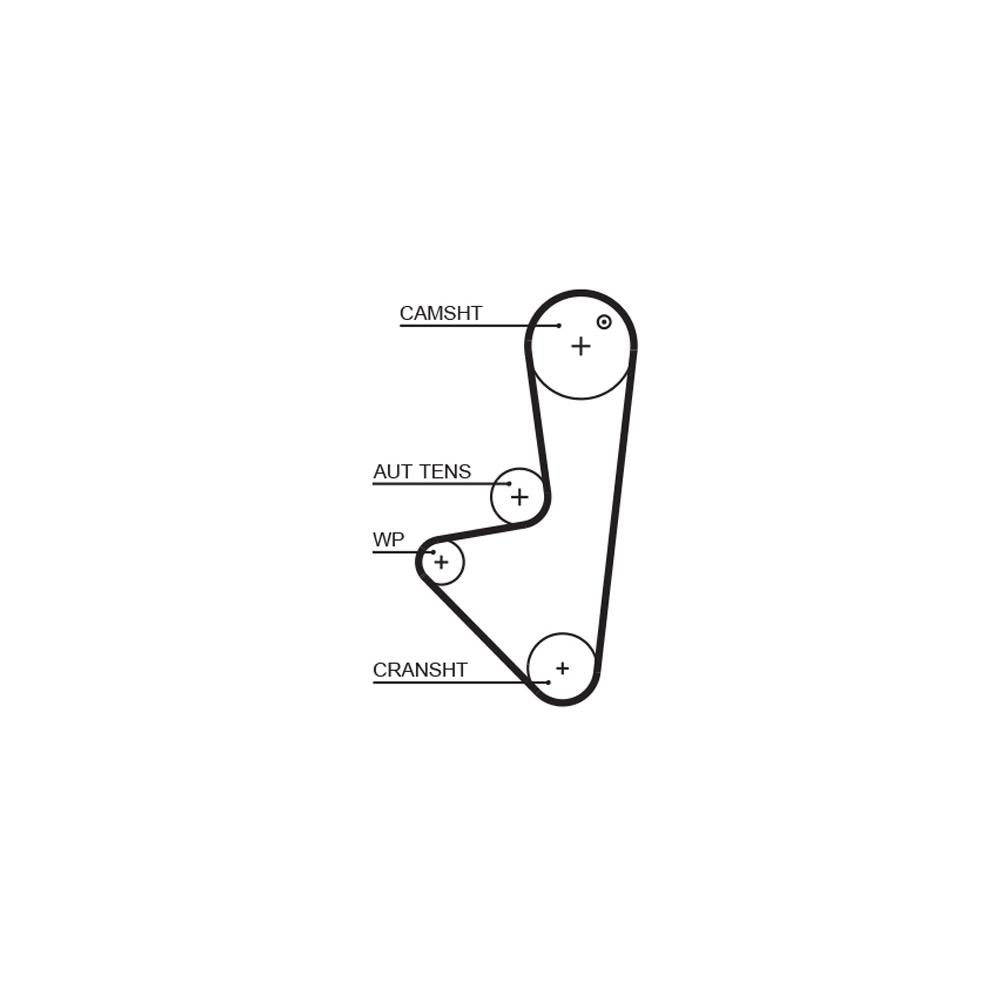 Gates - curea distributie 5575XS