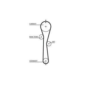 Gates - curea distributie 5577XS