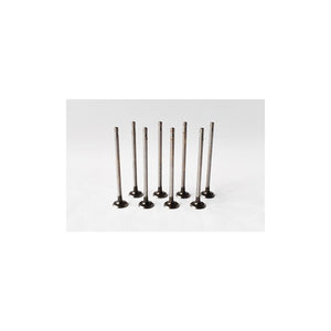 Set supape evacuare Asam Automotive 55827