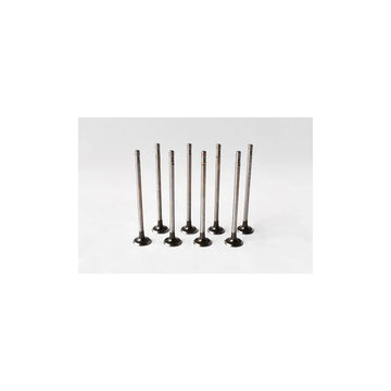 Set supape evacuare Asam Automotive 55827