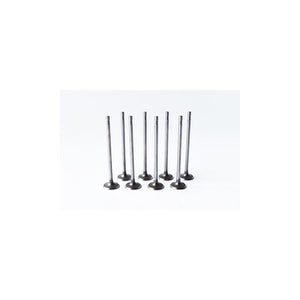 Set supape admisie Asam Automotive 55828