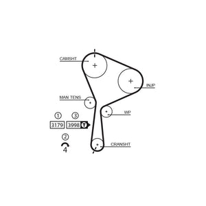 Gates - curea distributie 5610XS