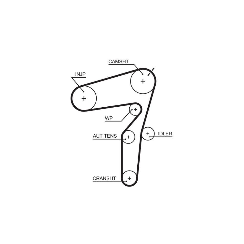 Gates - curea distributie 5623XS