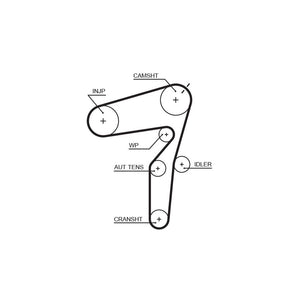 Gates - curea distributie 5623XS