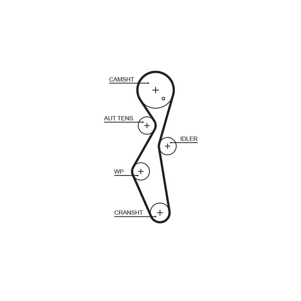 Gates - curea distributie 5672XS