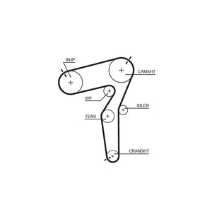 Gates - curea distributie 5684XS
