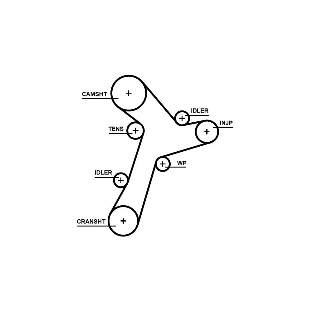 Gates - curea distributie 5695XS