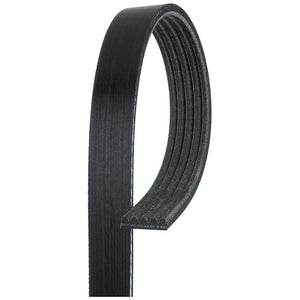 Gates- curea transmisie canelata 5PK970