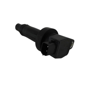 Bobina inductie Asam Automotive 117925