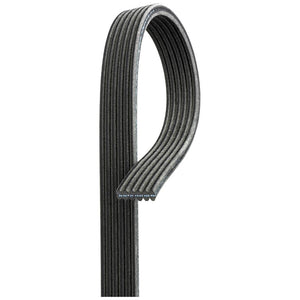 Gates- curea transmisie canelata 6DPK1698