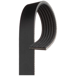 Gates- curea transmisie canelata 6PK803