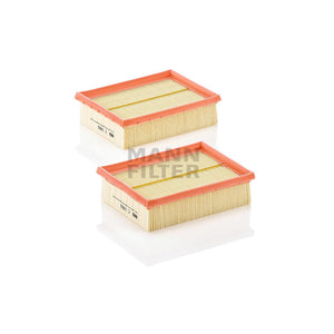 Set filtre aer Mann-filter C 1955-2