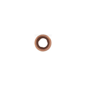 Saiba protectie Victor Reinz 70-31598-00