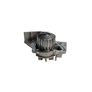 Pompa apa Asam Automotive 70487