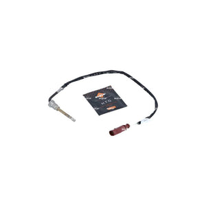 Senzor temperatura gaze evacuare NRF 707098