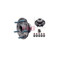 Kit rulment roata Schaeffler FAG 713 6791 60