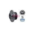 Kit rulment roata Schaeffler FAG 713 6907 30