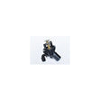 73309_png
