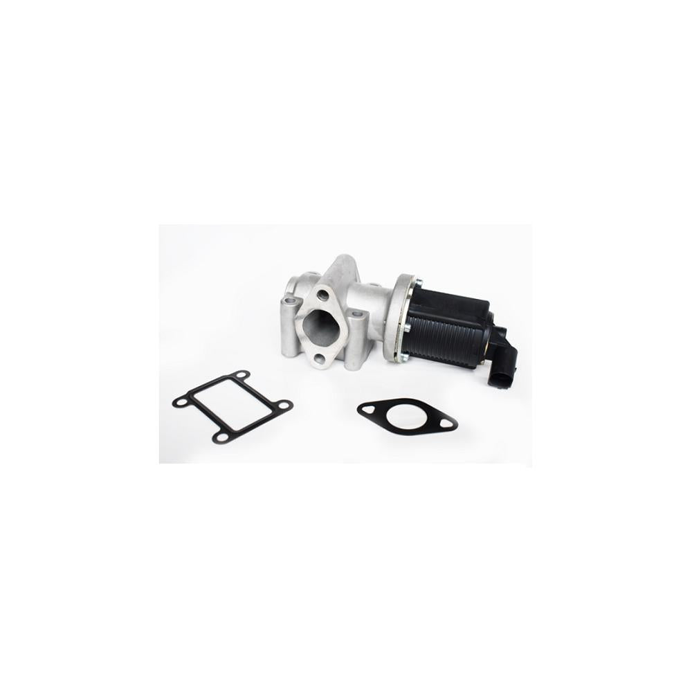Supapa EGR Asam Automotive 73348
