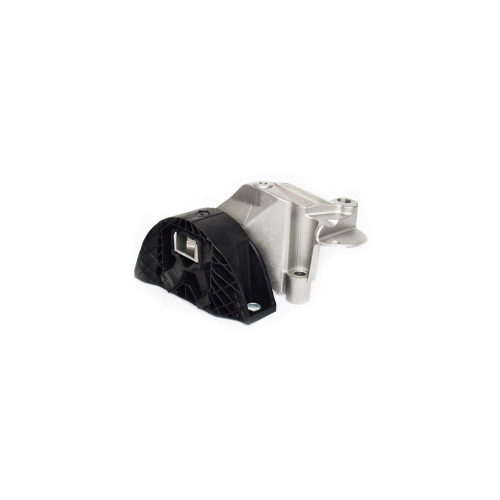 Tampon motor dr. Asam Automotive 73534
