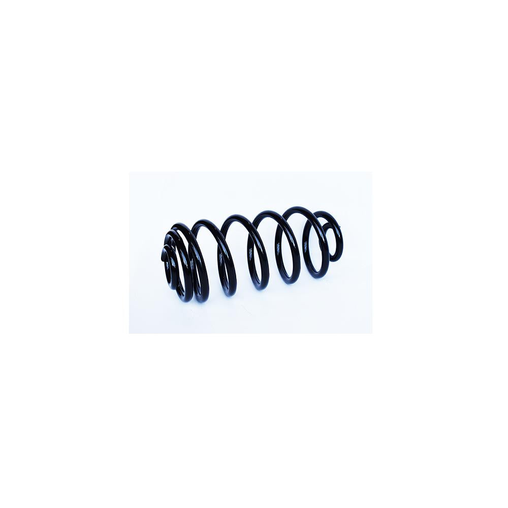 Arc suspensie spate Asam Automotive 73730
