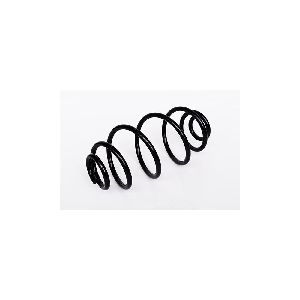 Arc suspensie spate Asam Automotive 73758