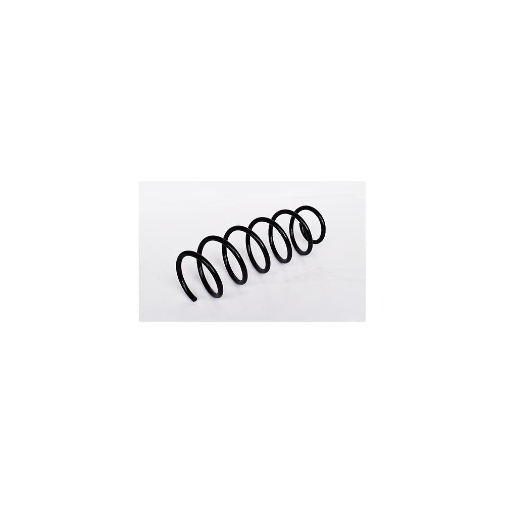 Arc suspensie spate Asam Automotive 73760
