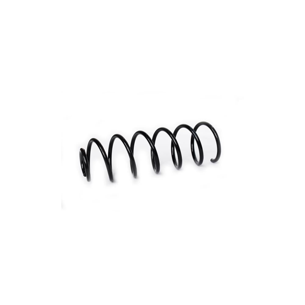 Arc suspensie spate Asam Automotive 73761