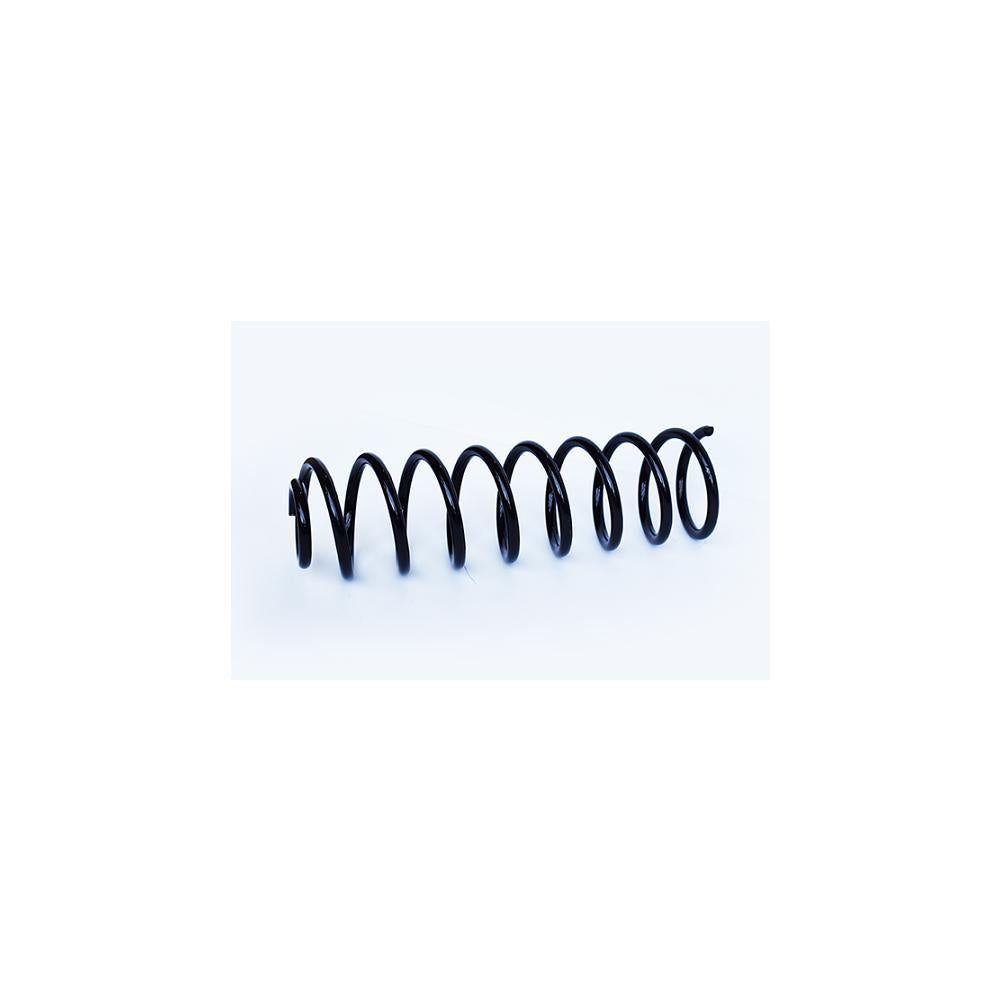 Arc suspensie spate Asam Automotive 73768