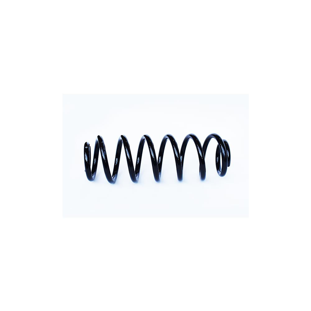 Arc suspensie spate Asam Automotive 73770