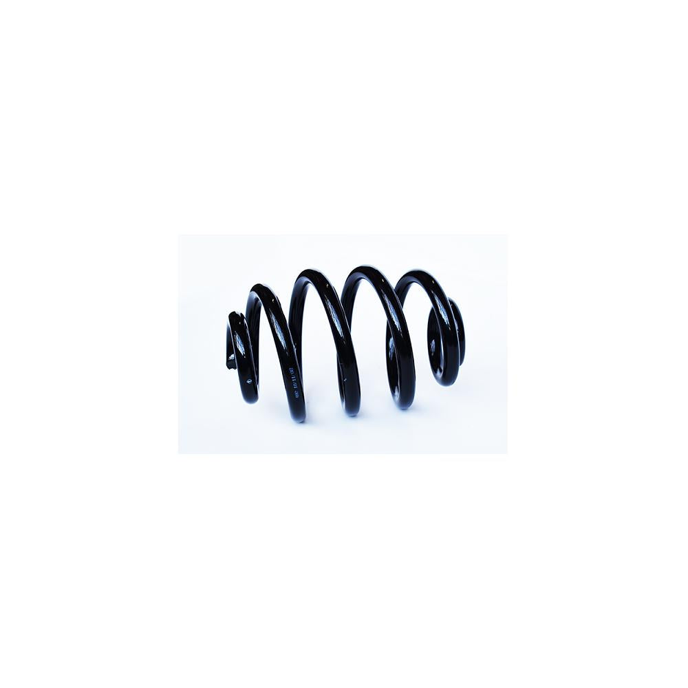 Arc suspensie spate Asam Automotive 73772