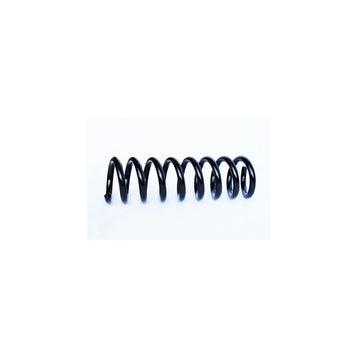 Arc suspensie spate Asam Automotive 73790