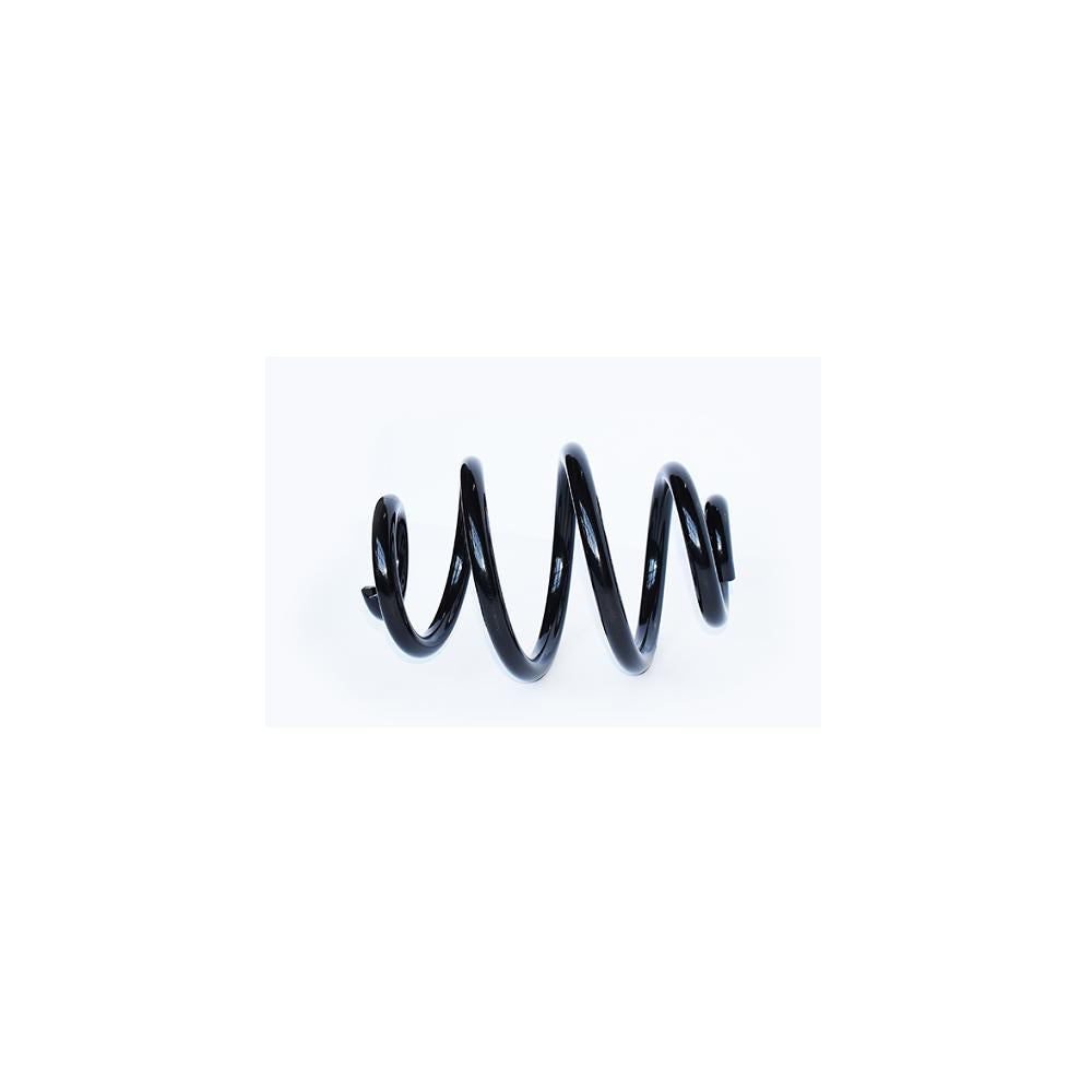 Arc suspensie spate Asam Automotive 73791