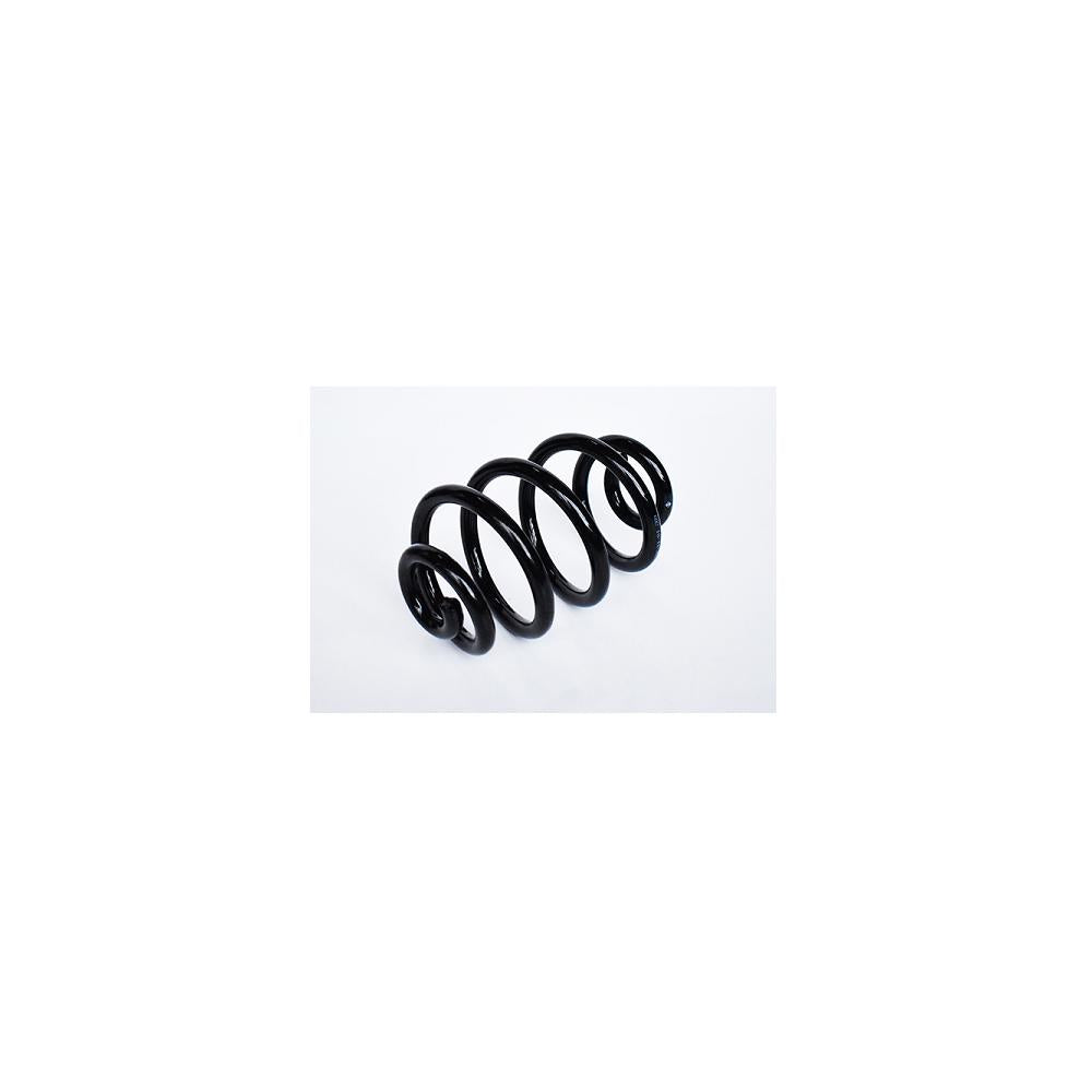 Arc suspensie spate Asam Automotive 73794