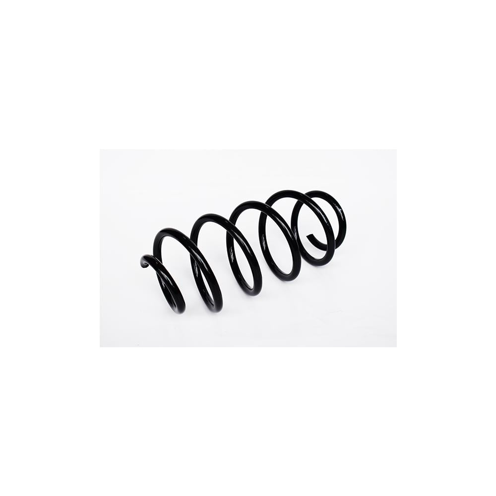 Arc suspensie fata Asam Automotive 73803