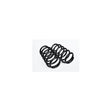 Set 2BC arc suspensie spate sarcina utila marita (L=310MM; D=16MM) Asam Automotive 75074