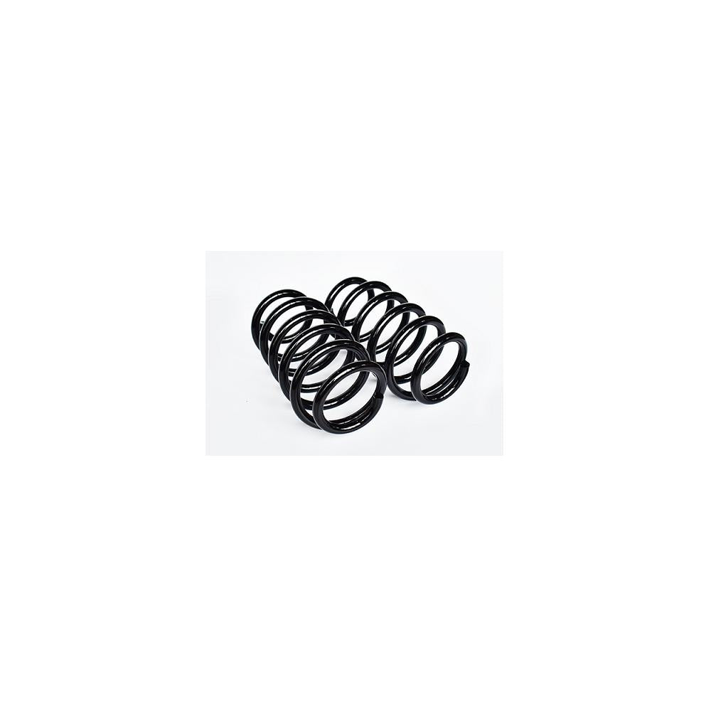 Set 2BC arc suspensie spate sarcina utila marita (L=310MM; D=16MM) Asam Automotive 75074