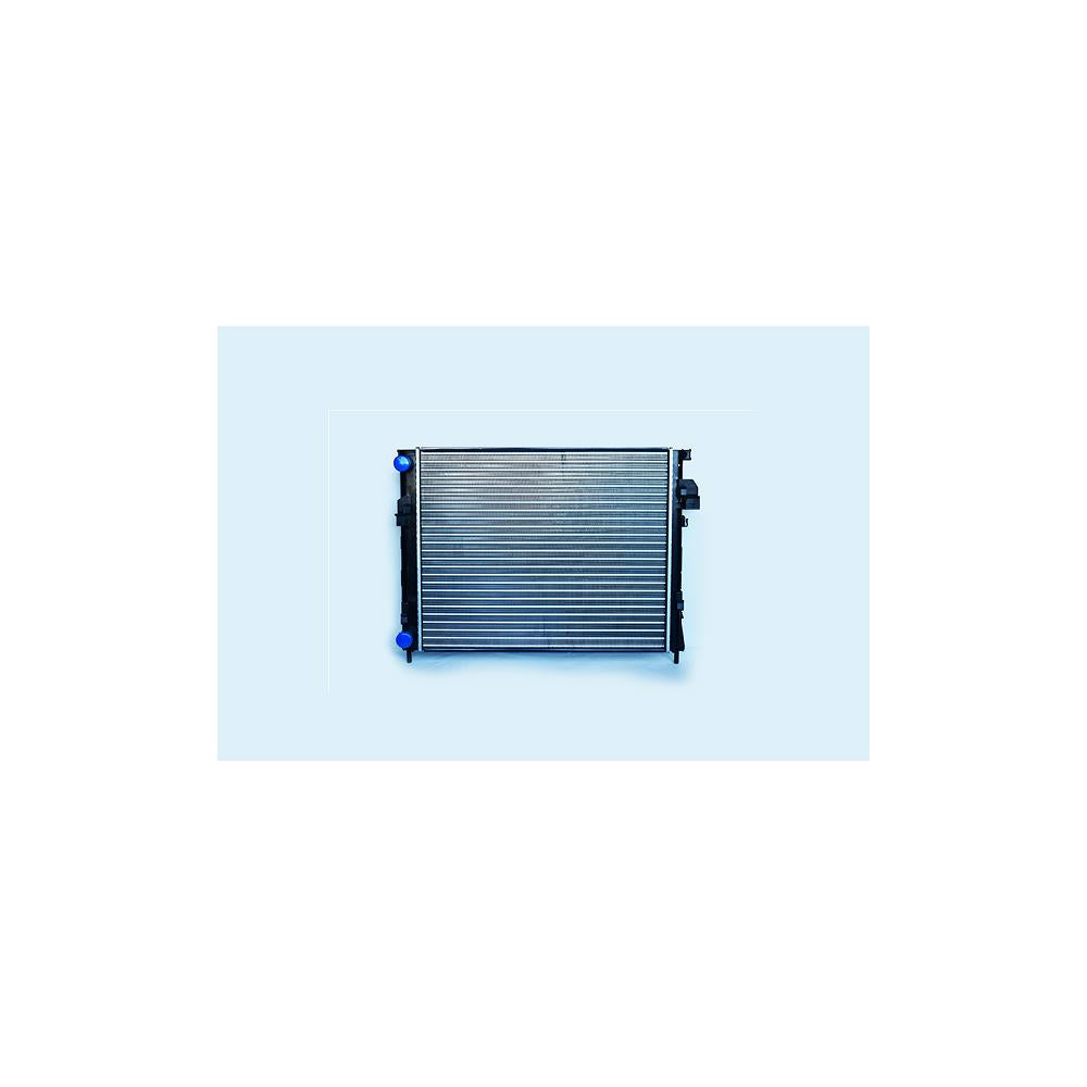 Radiator motor Asam Automotive 75376