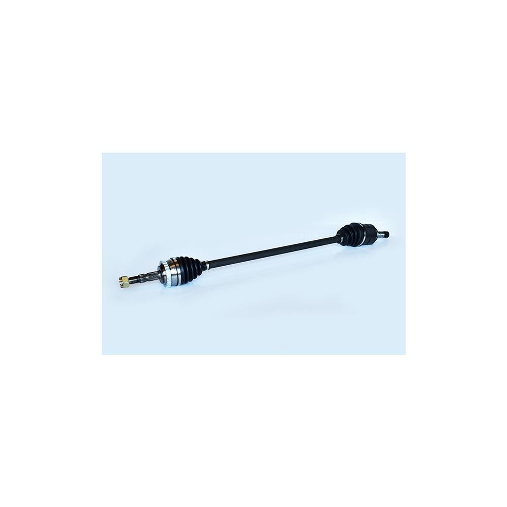 Planetara Asam Automotive 75708