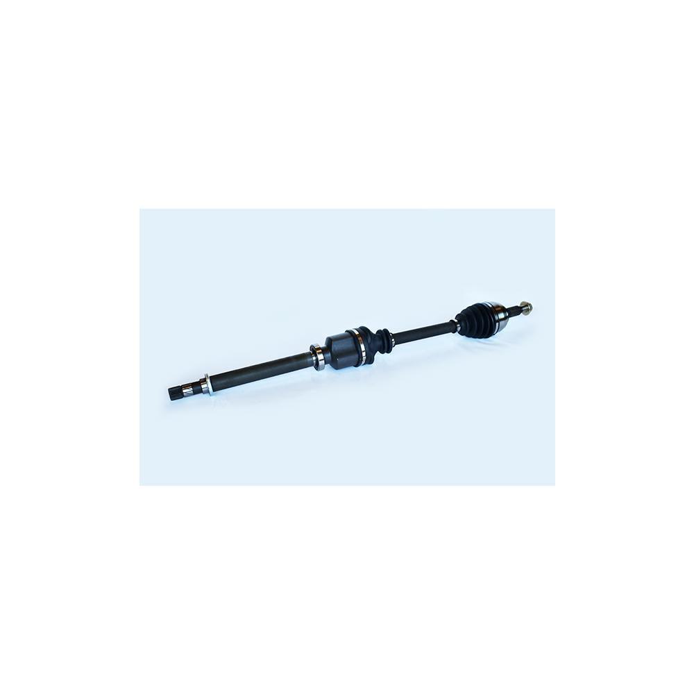 Planetara Asam Automotive 75828