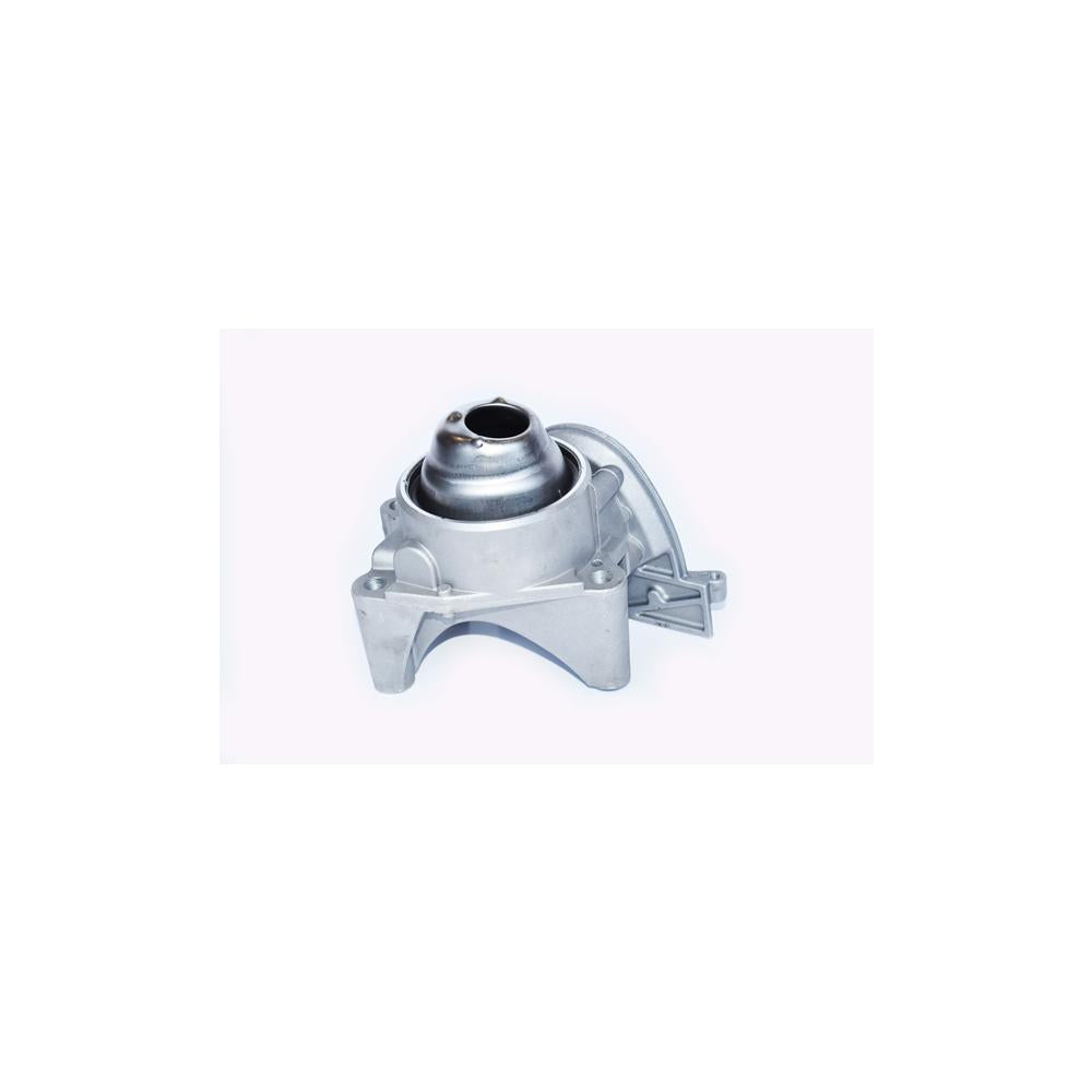 Pompa ulei Asam Automotive 79495