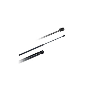 Amortizor portbagaj Asam Automotive 79681