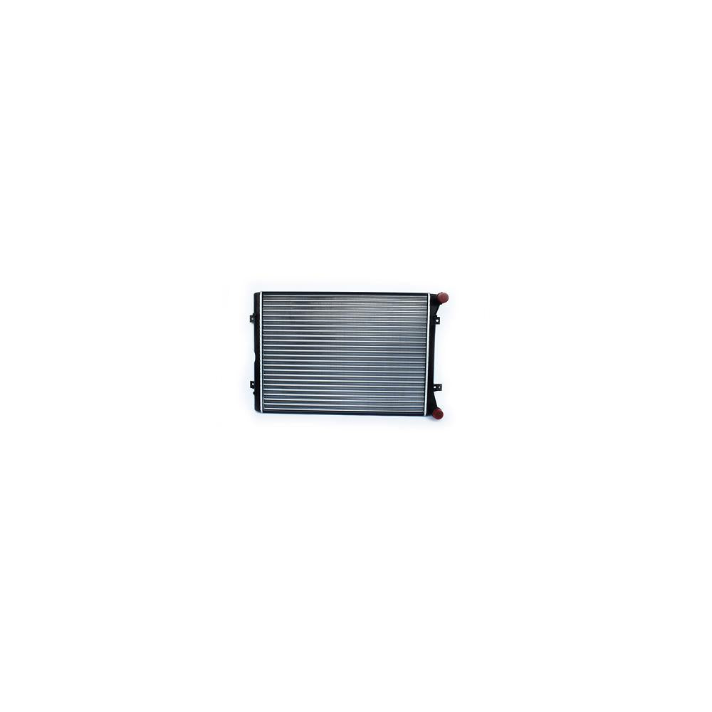 Radiator motor Asam Automotive 79738