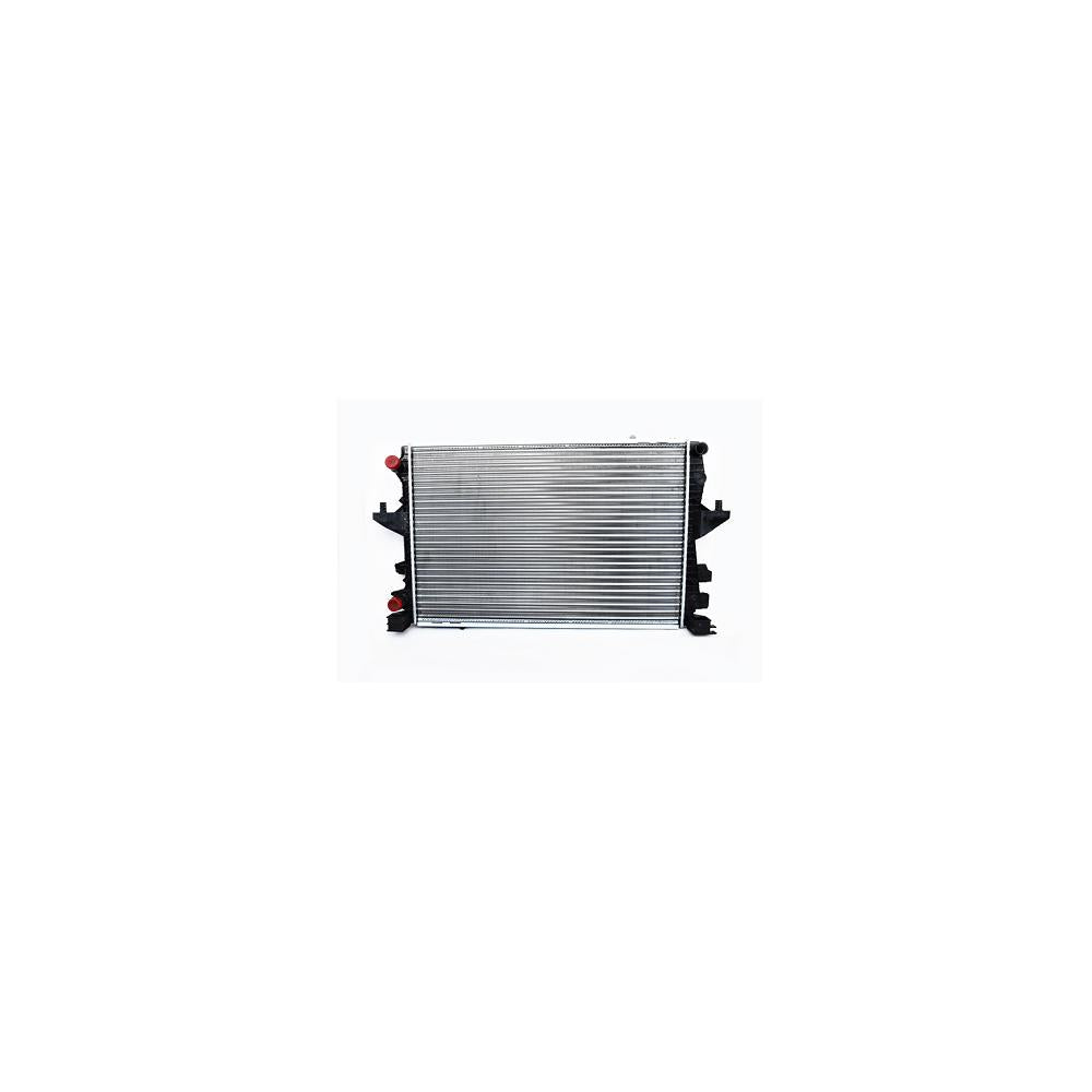Radiator motor Asam Automotive 79772