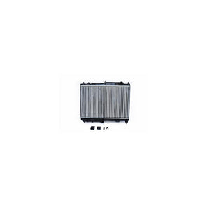 Radiator motor Asam Automotive 79773