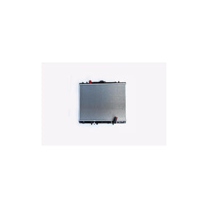 Radiator motor Asam Automotive 79830