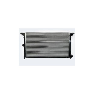 Radiator motor Asam Automotive 80331