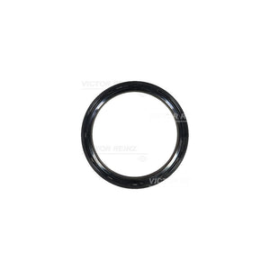 Simering arbore cotit Victor Reinz 81-41219-00