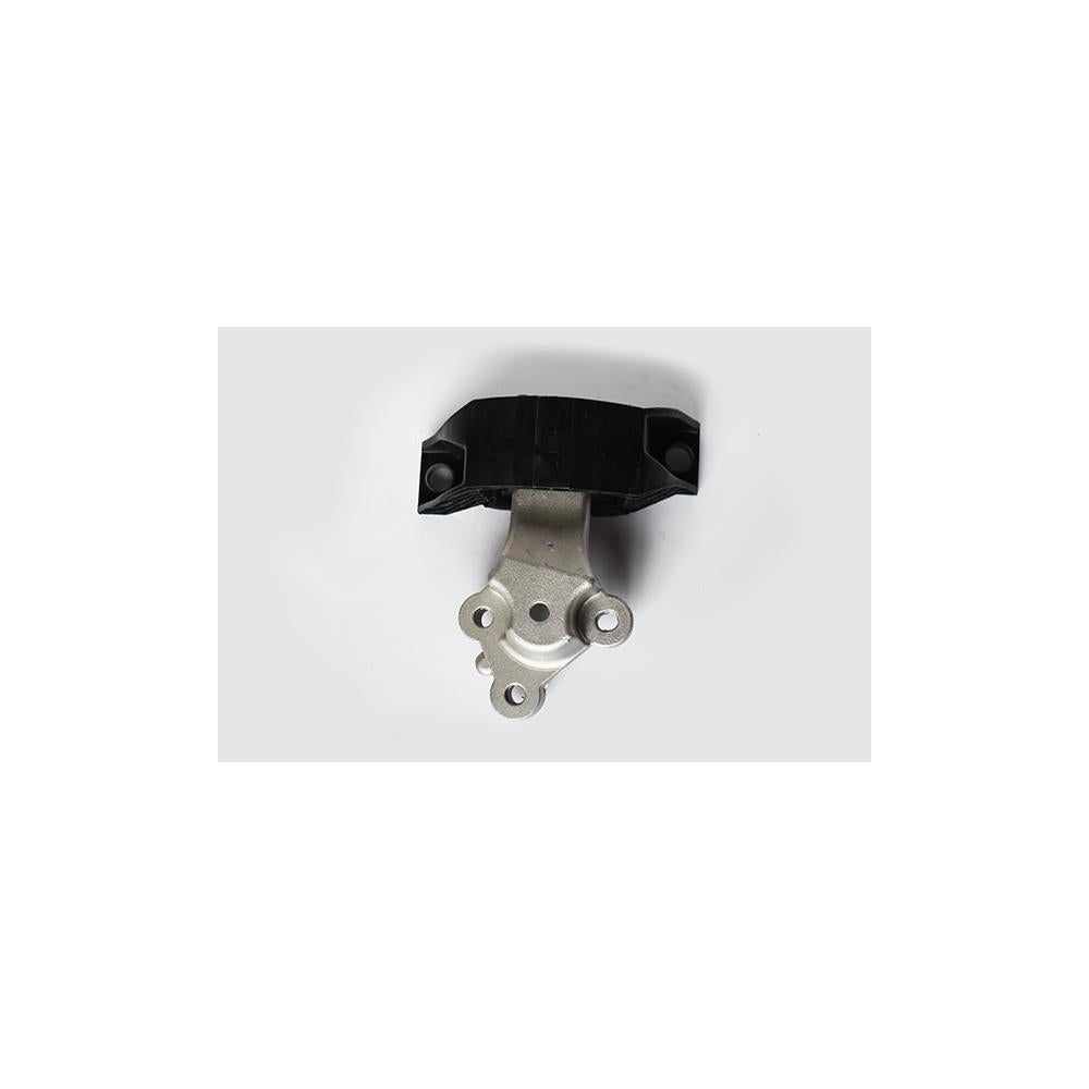 Tampon motor dr. Asam Automotive 74983