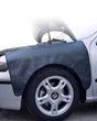 Protectie aripa Strong Plus Carpassion 12175403